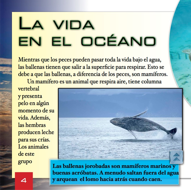 ¿Qué son los mamíferos marinos? — page 1