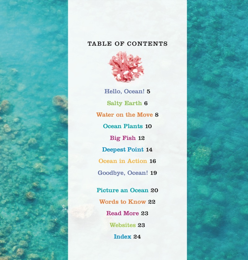 Oceans book cover