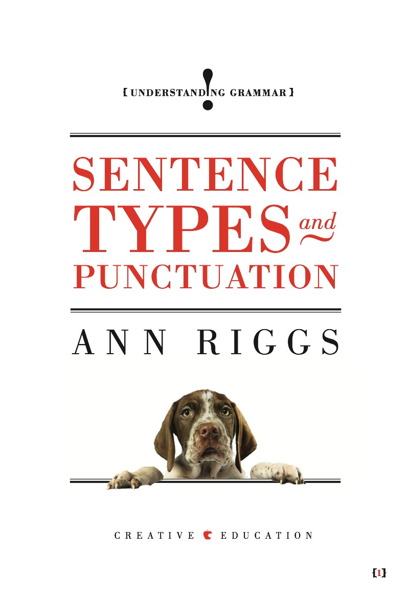 Sentence Types and Punctuation book cover