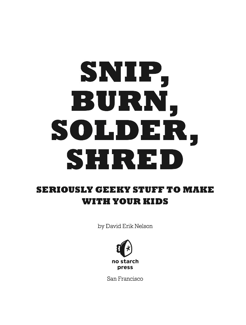 Snip, Burn, Solder, Shred: Seriously Geeky Stuff to Make book cover