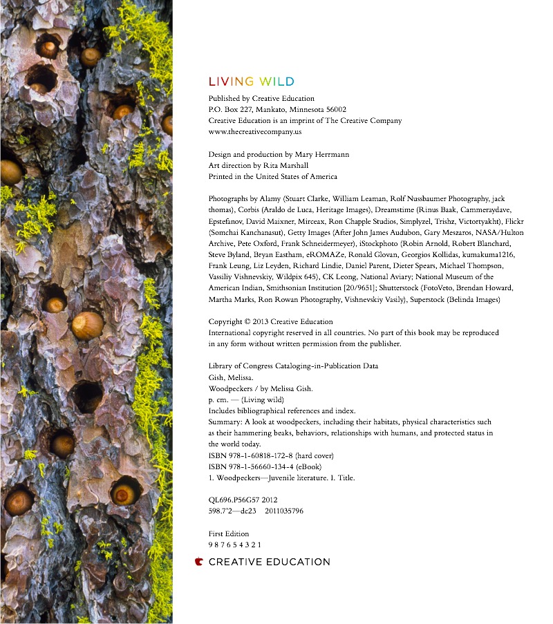 Woodpeckers — page 1