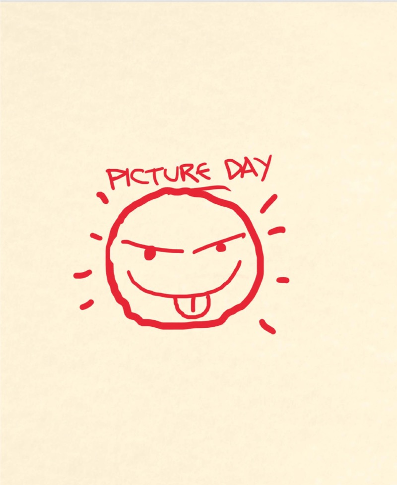 Picture Day Perfection book cover