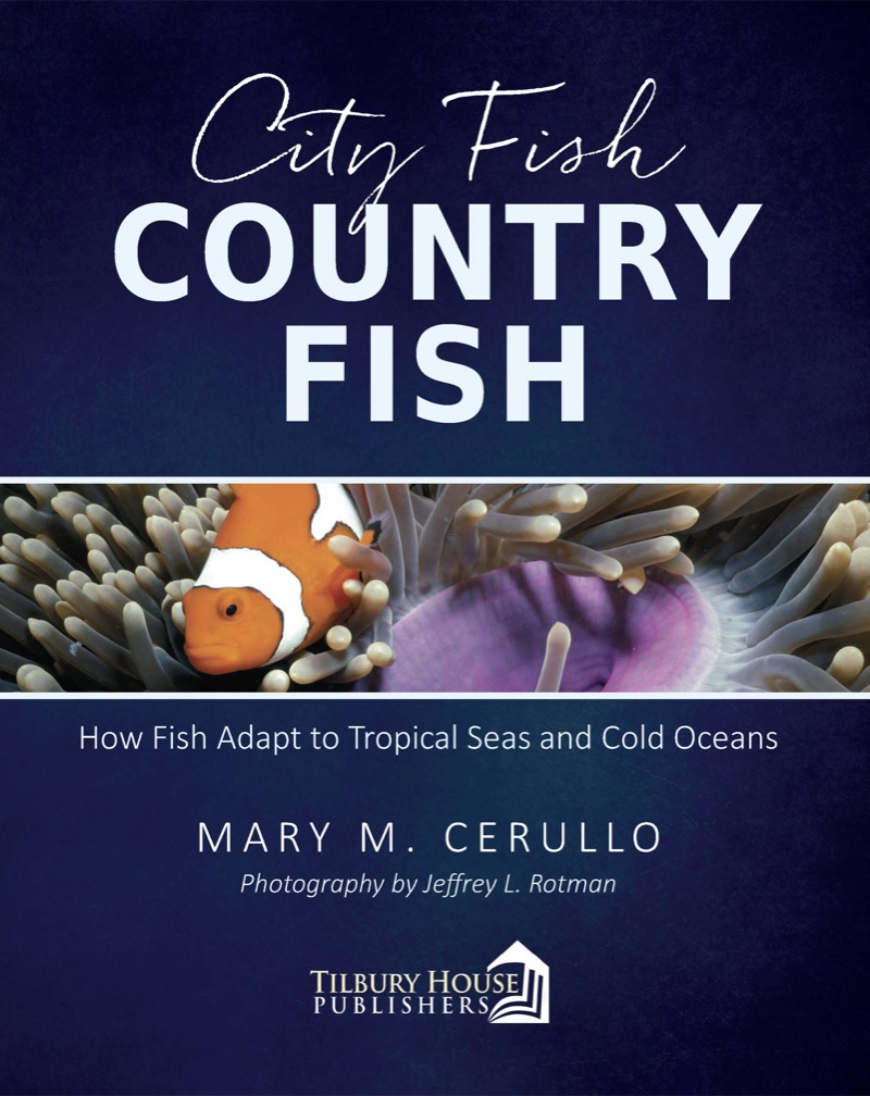 City Fish Country Fish book cover
