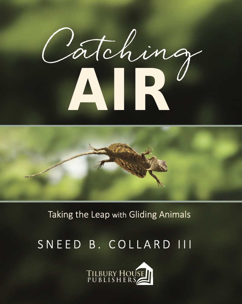 Catching Air: Taking the Leap with Gliding Animals book cover