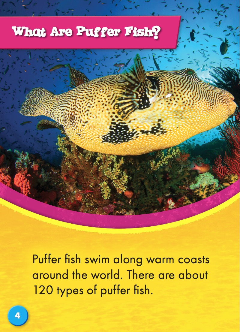 Ocean Life Up Close: Puffer Fish — page 1