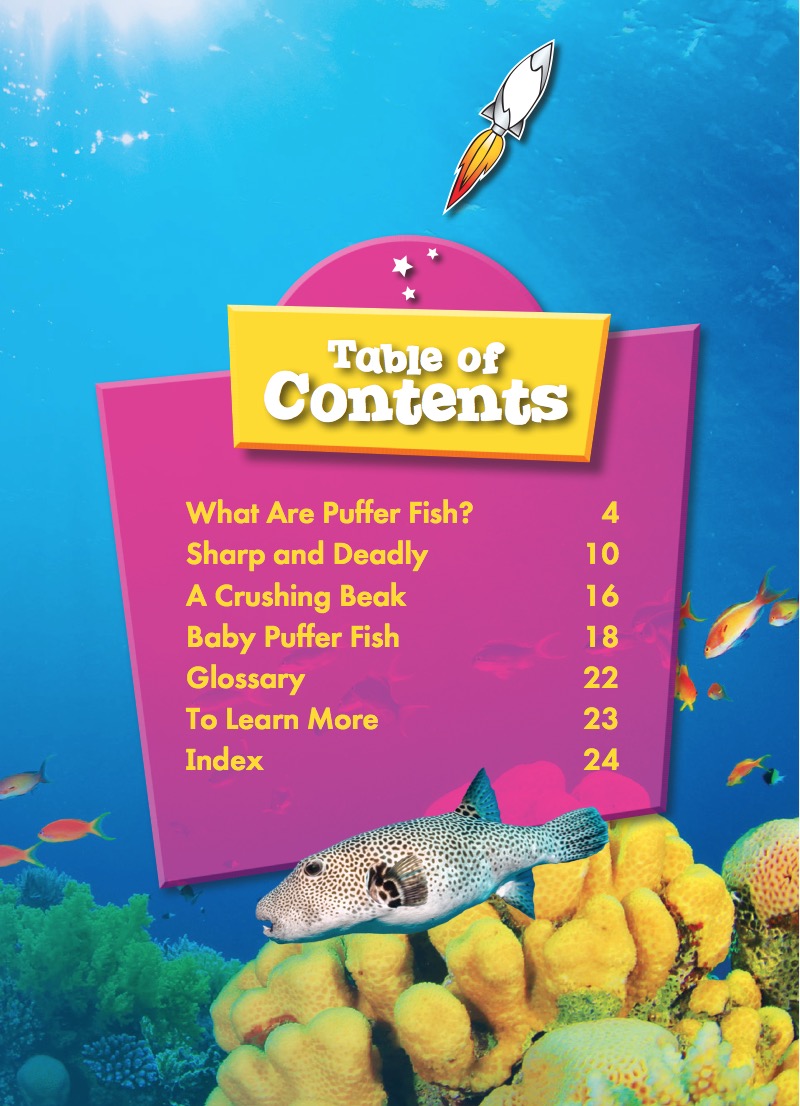 Ocean Life Up Close: Puffer Fish book cover