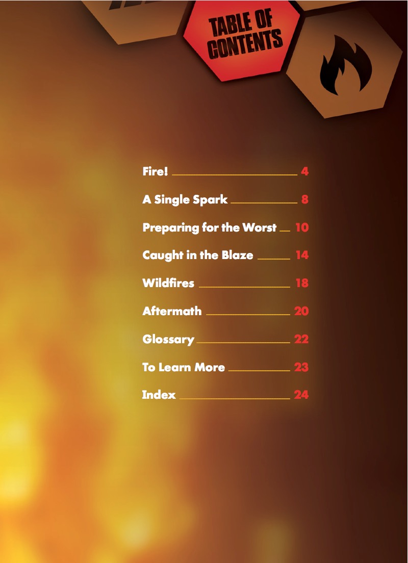 Survive A Fire book cover
