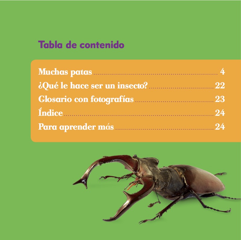 Clasificación Animal: Insectos book cover