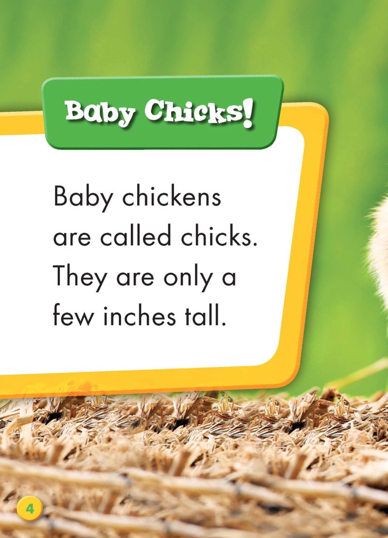 Super Cute! Baby Chickens — page 1