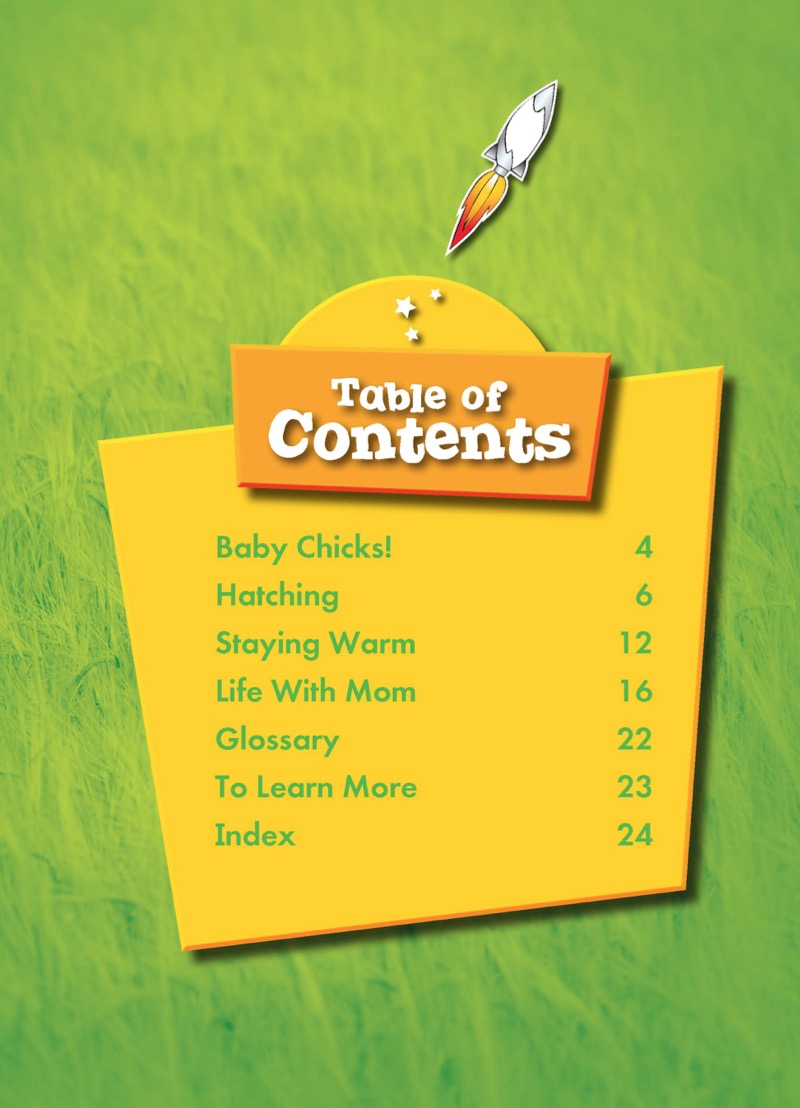 Super Cute! Baby Chickens book cover