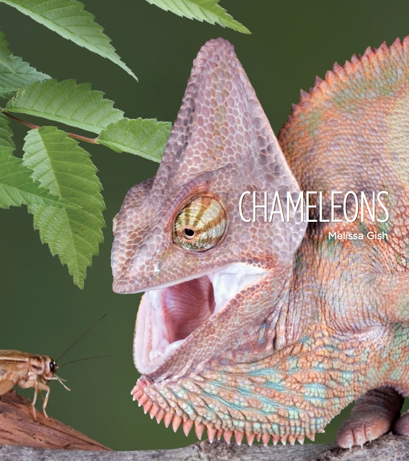 Chameleons book cover