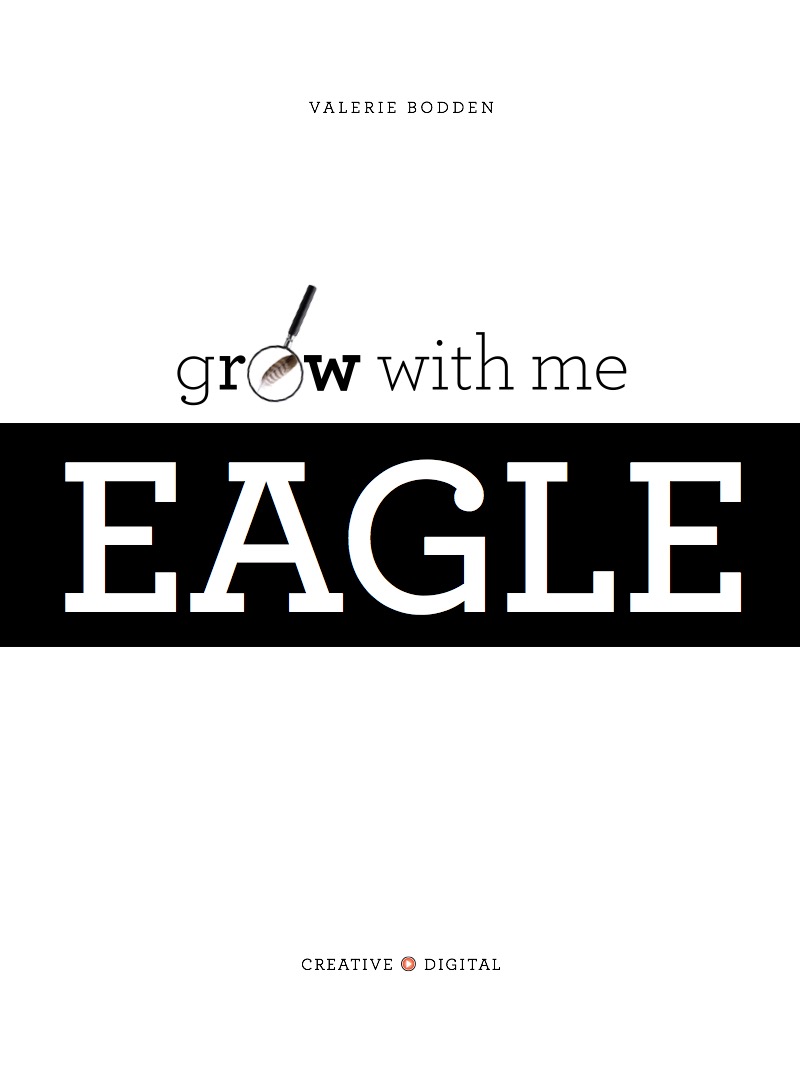 Eagle book cover