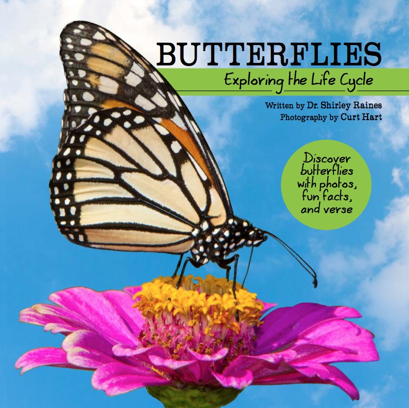 Butterflies: Exploring the Life Cycle book cover