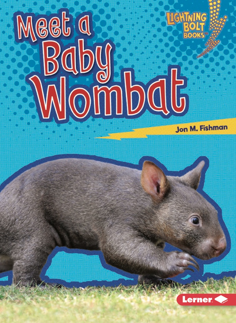 Meet a Baby Wombat book cover