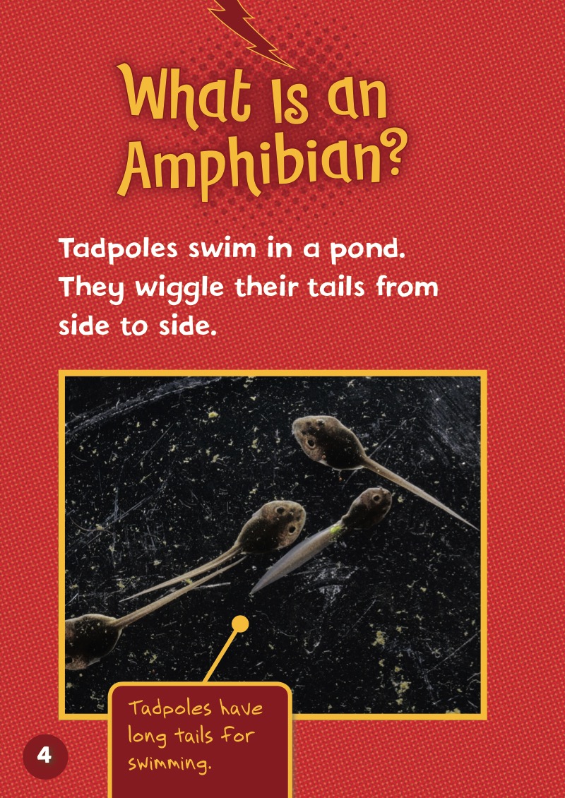 Do You Know about Amphibians? — page 1