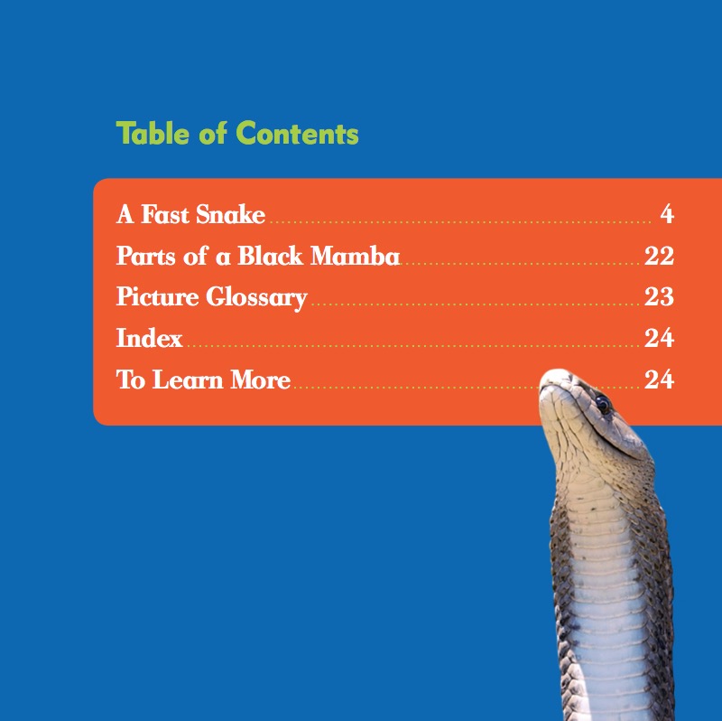 Reptile World: Black Mambas book cover
