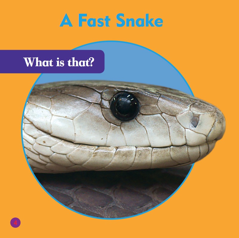 Reptile World: Black Mambas — page 1