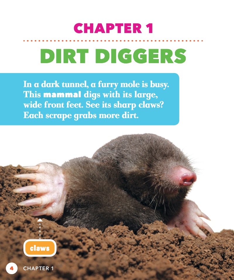 Moles — page 1