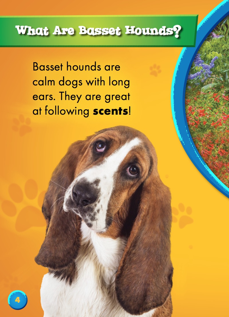 Awesome Dogs: Basset Hounds — page 1