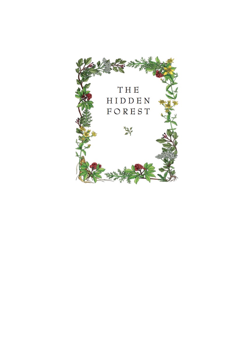 The Hidden Forest — page 1