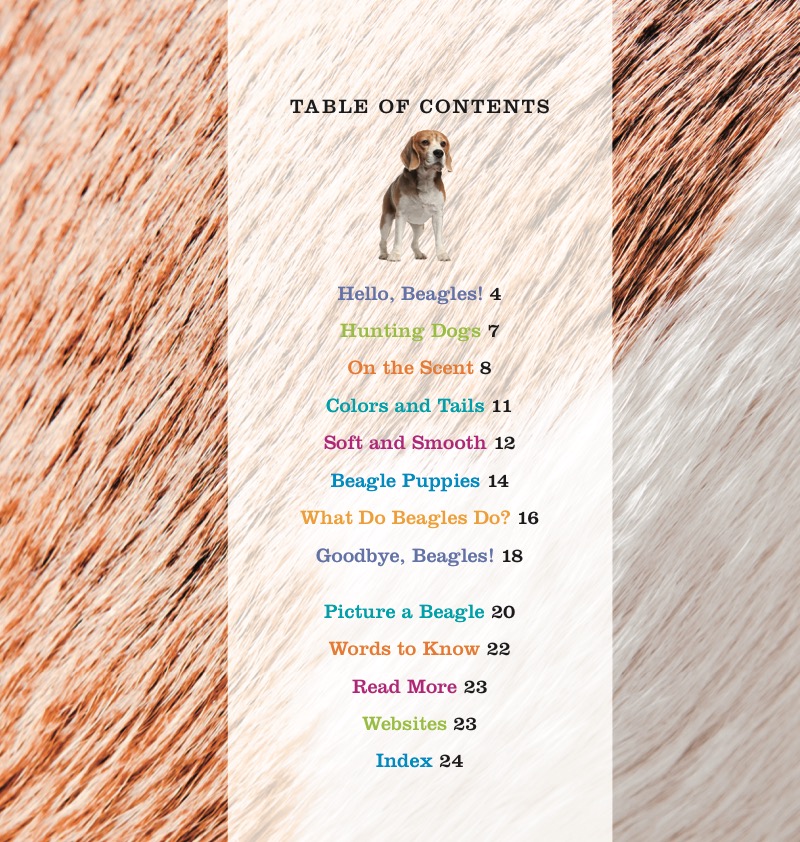 Beagles book cover