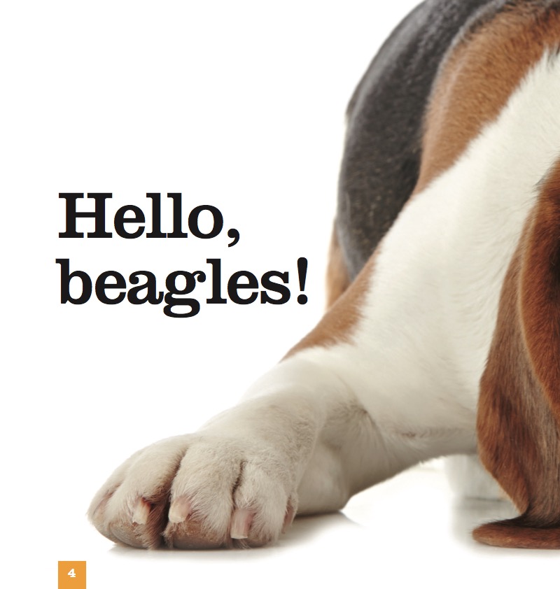 Beagles — page 1