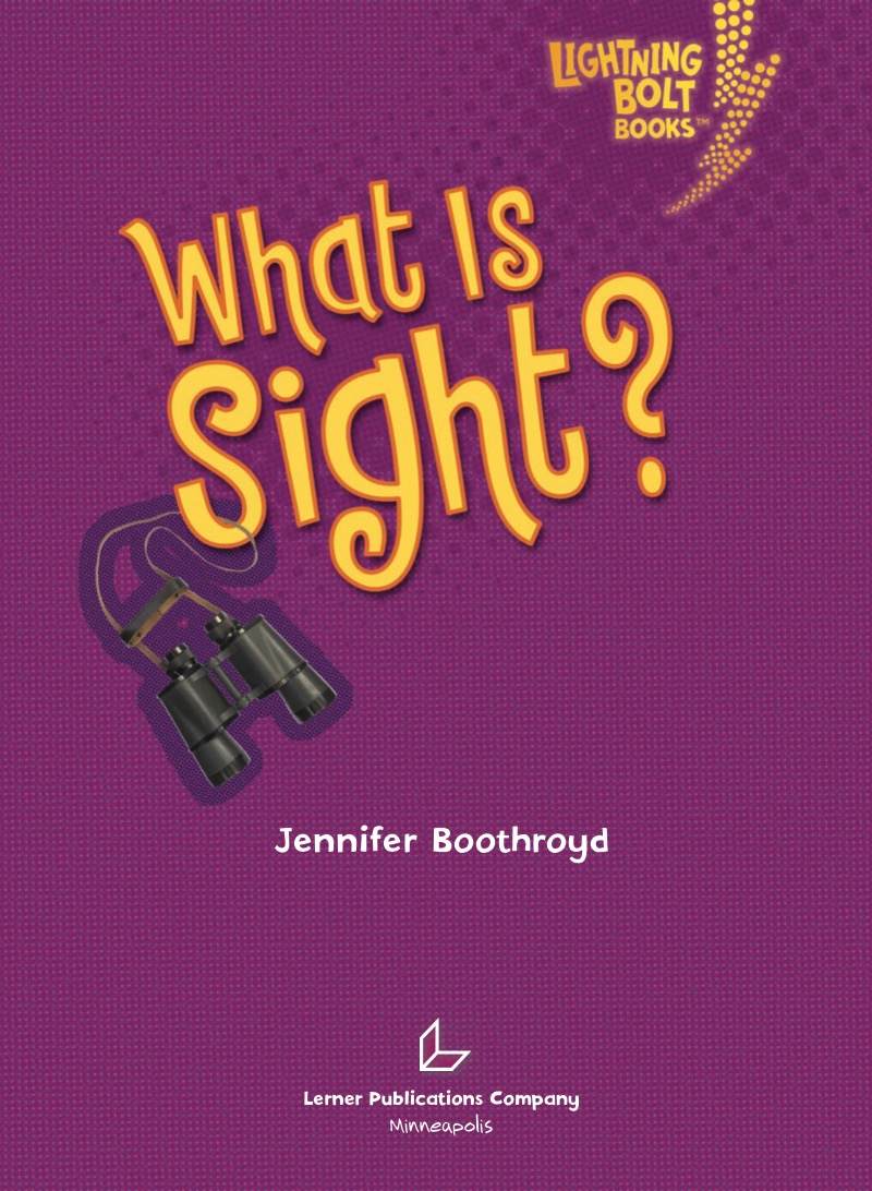 What Is Sight? book cover