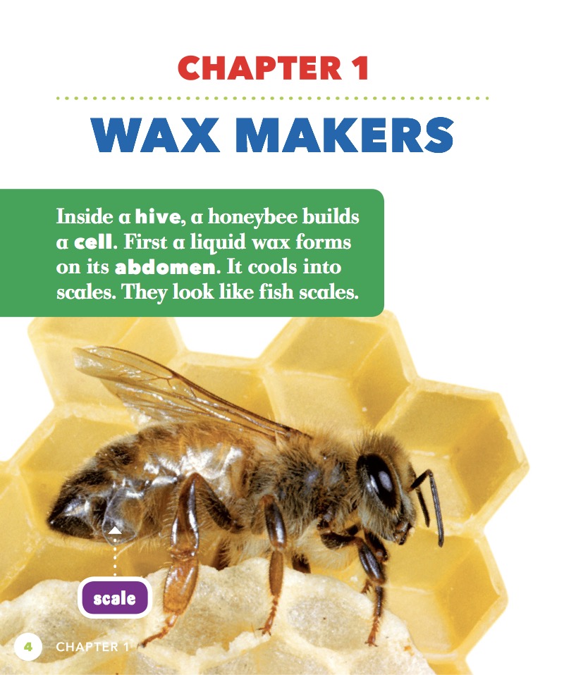 Bees — page 1