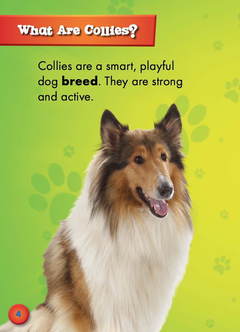 Collies — page 1