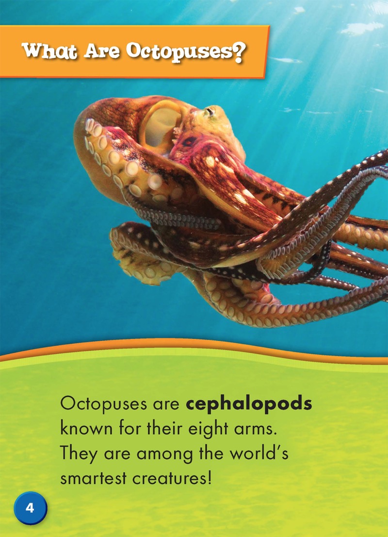 Octopuses — page 1