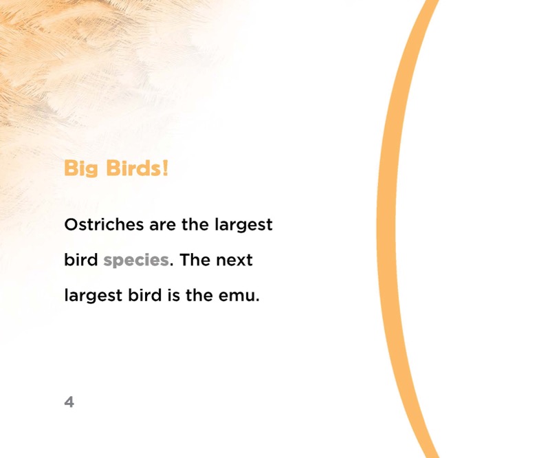 Ostriches — page 1