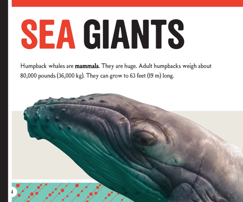 Humpback Whale: Marvelous Musician — page 1