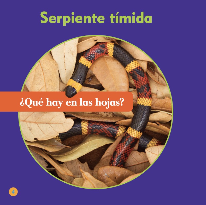Serpientes de coral (Coral Snakes) — page 1