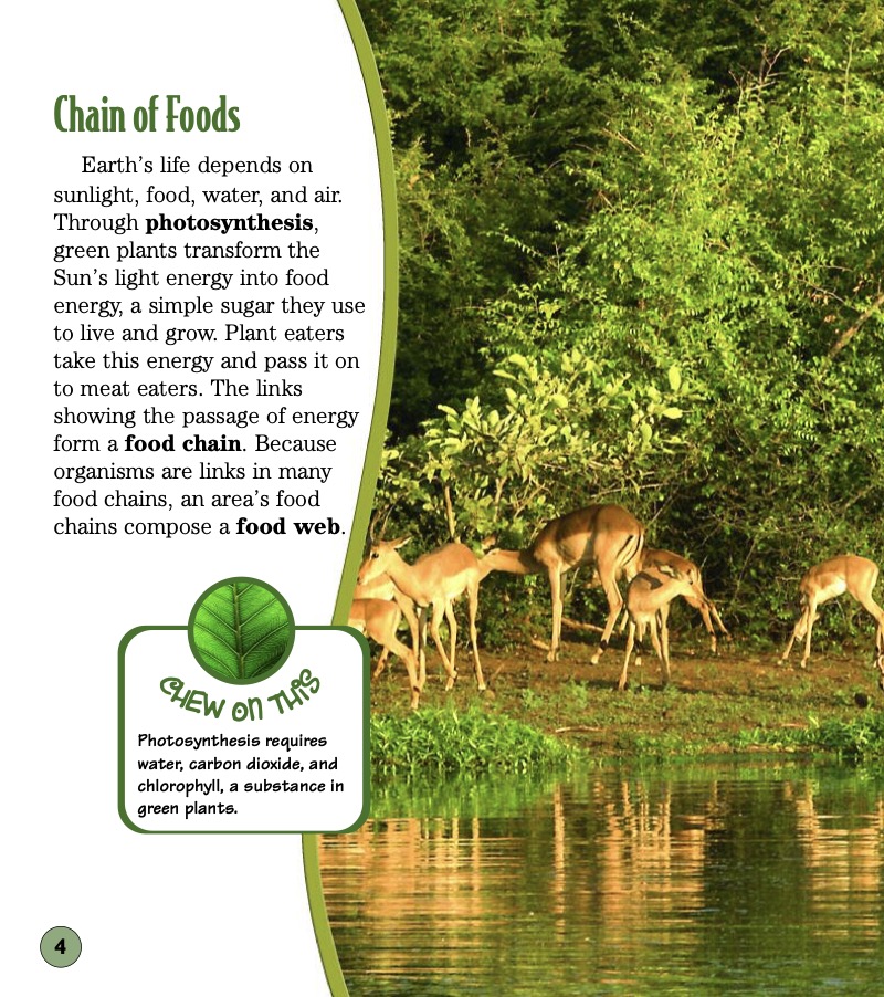 Grassland Buffet: Studying Food Webs In The Grasslands And Savannas — page 1