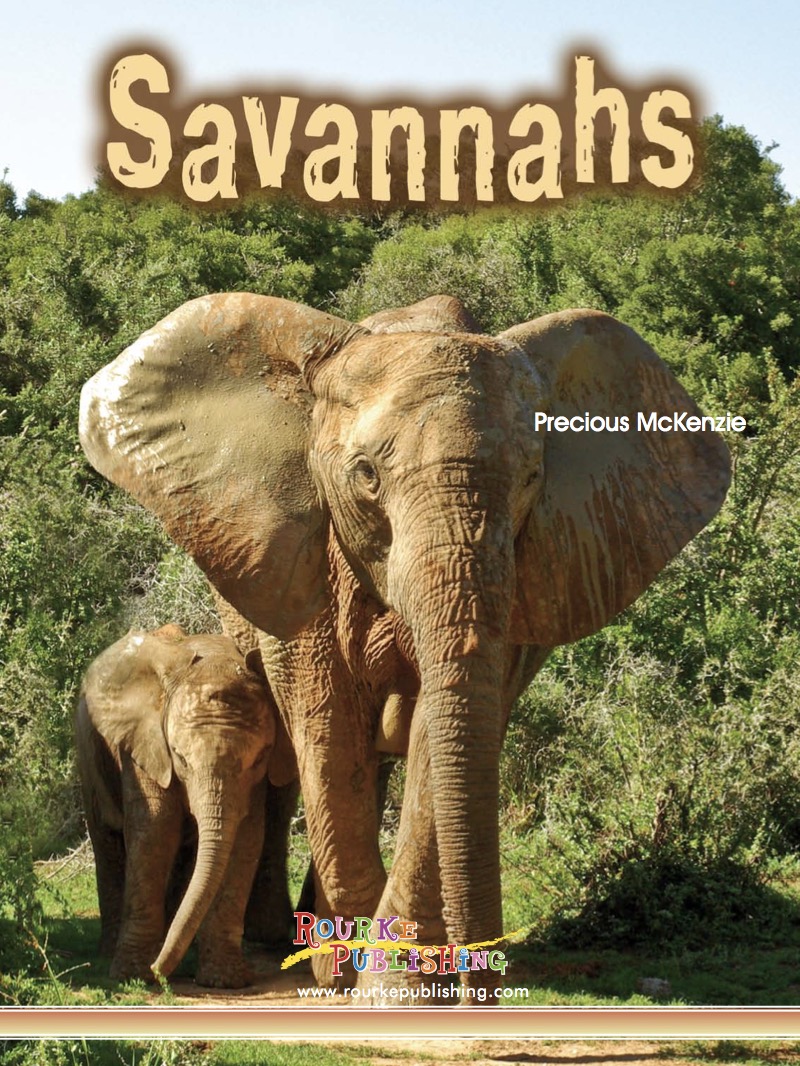 Savannahs book cover