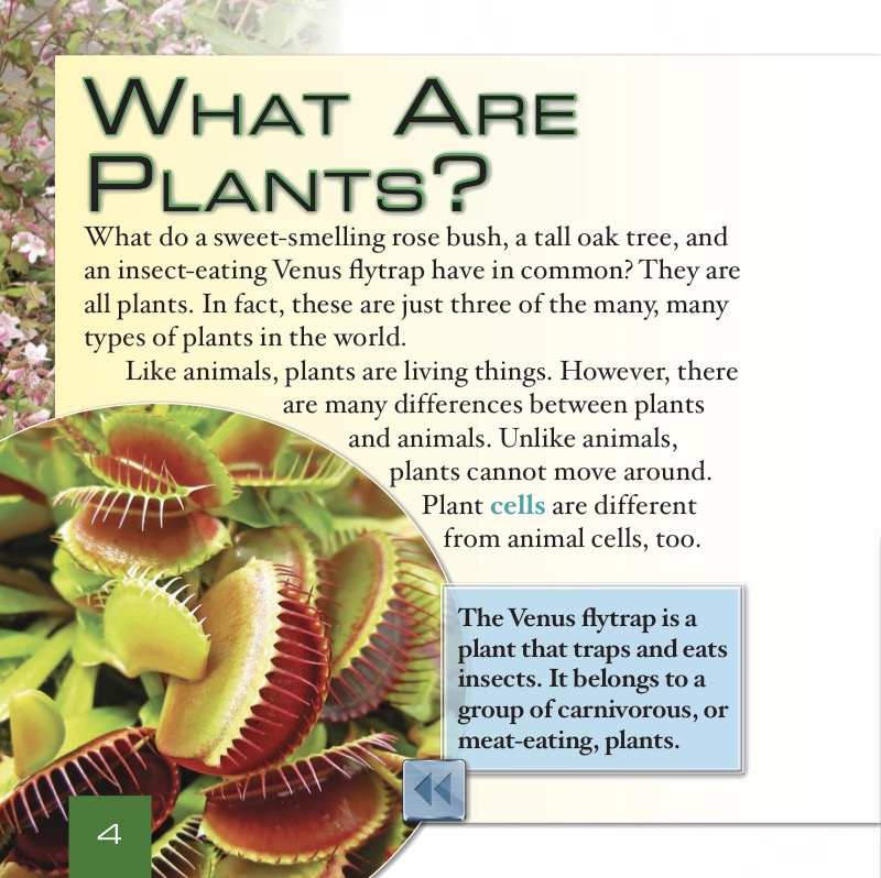 Types of Plants — page 1