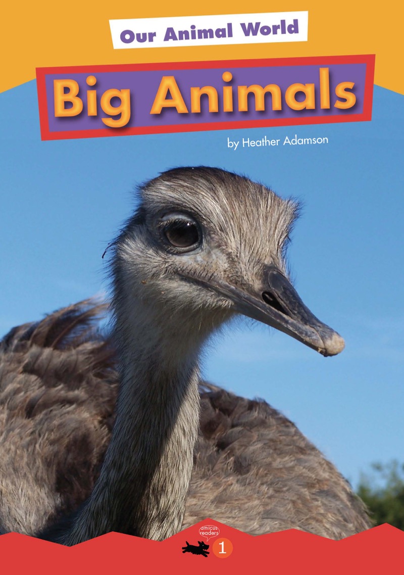 Big Animals book cover