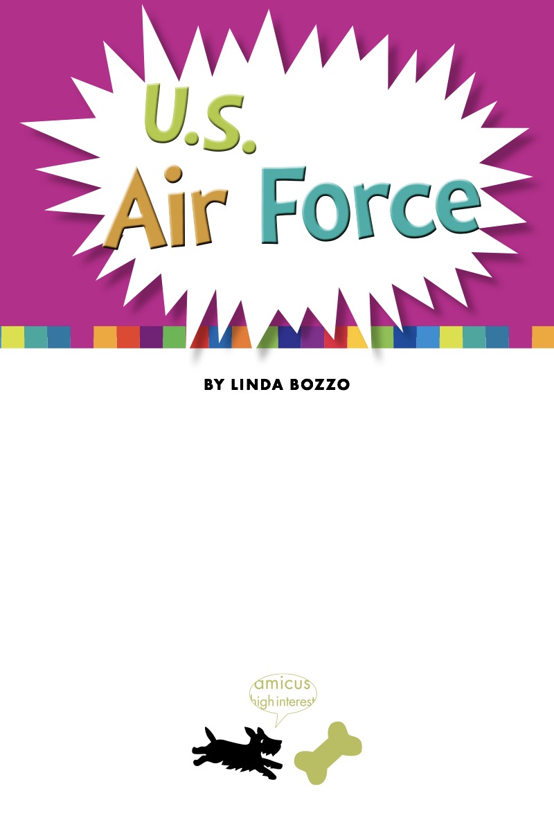 U.S. Air Force book cover