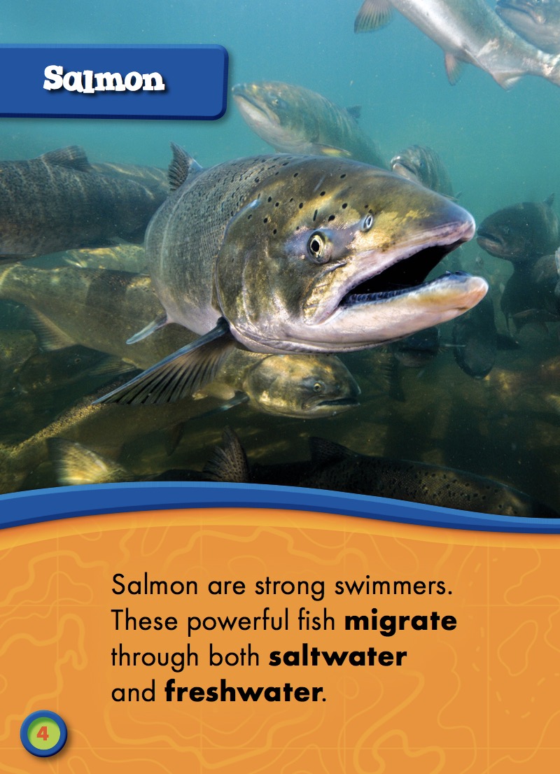 Salmon Migration — page 1