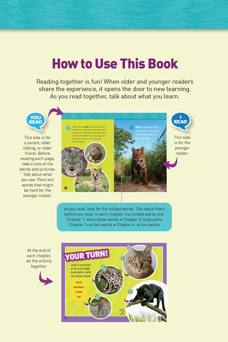 National Geographic Readers: Cats (Level 1 Co-reader) — page 1