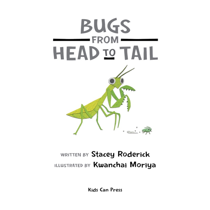 Bugs from Head to Tail book cover