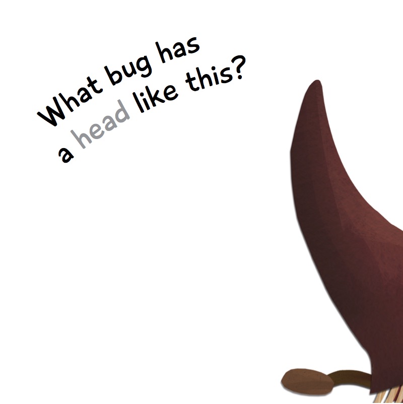 Bugs from Head to Tail — page 1