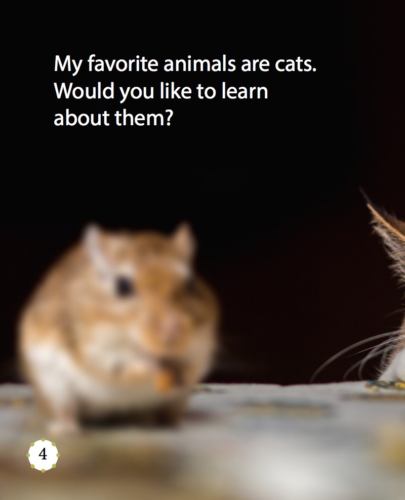 My Favorite Animal: Cats — page 1