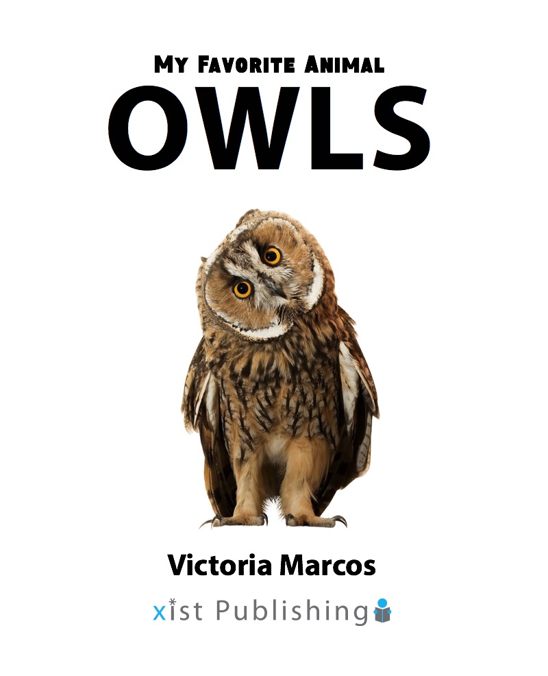 My Favorite Animal: Owls book cover