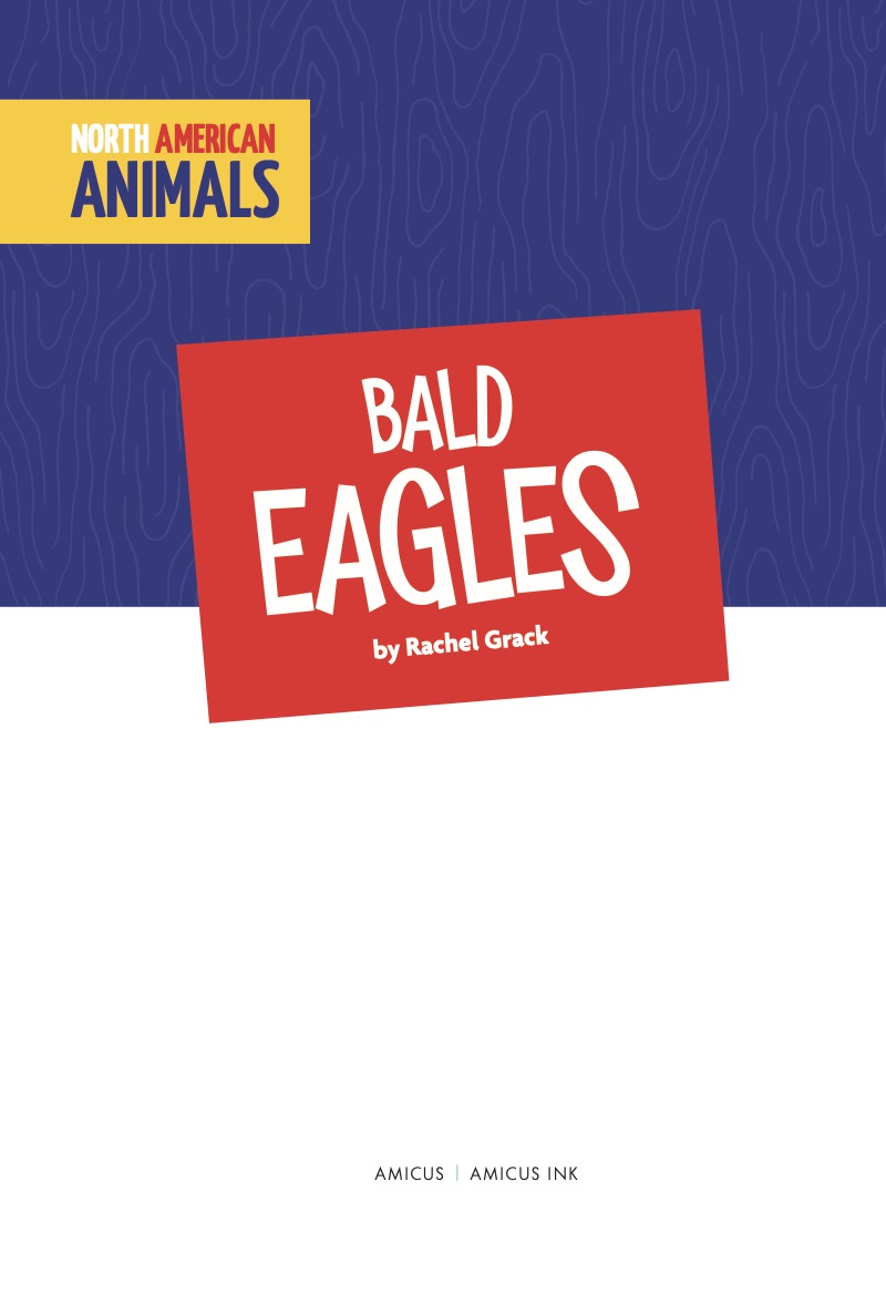 Bald Eagles book cover