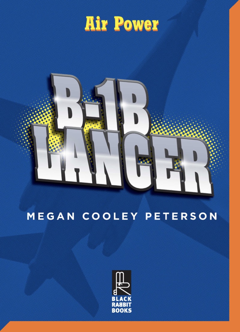 B-1B Lancer book cover
