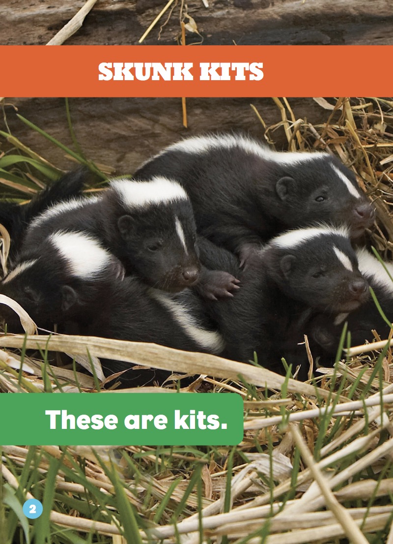 Skunk Kits — page 1