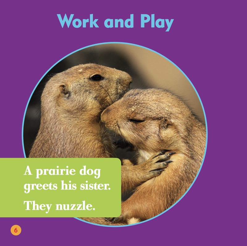 Prairie Dogs — page 1