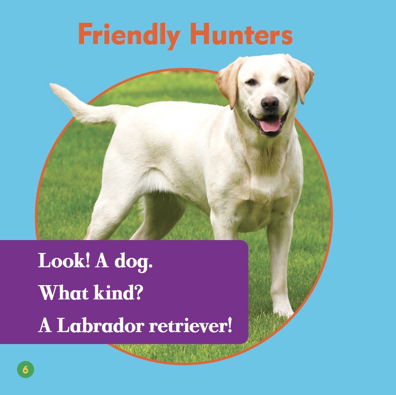 Labrador Retrievers — page 1