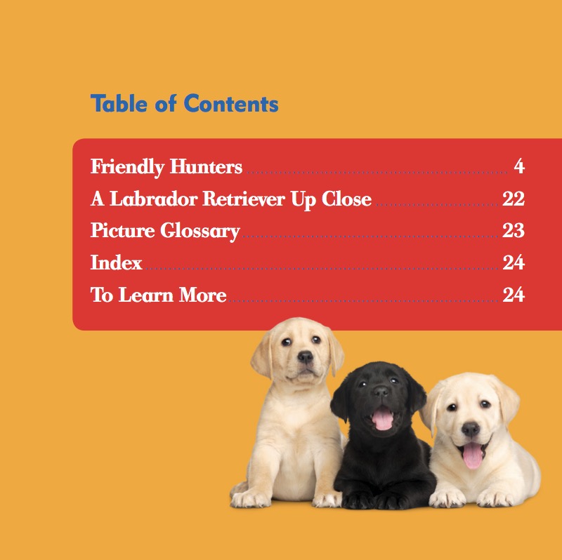 Labrador Retrievers book cover